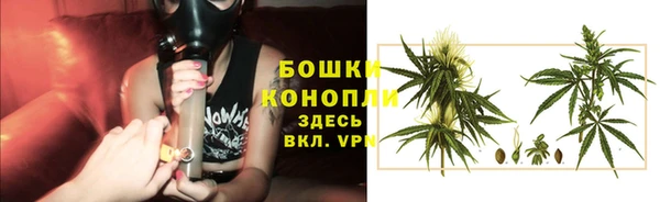 МДПВ Володарск