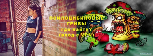 МДПВ Володарск
